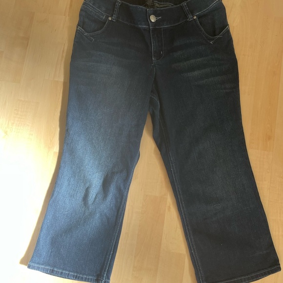 NWOT- Lane Bryant jeans - Picture 3 of 4